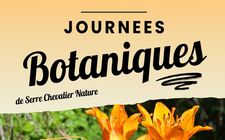 Affiche A3 Journée   Copie