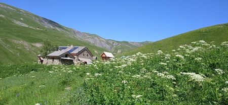 Photo 2025 11 14 07 53 57 Compressed