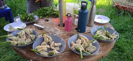 Photo 2025 11 14 07 55 18 Compressed Photo 2025 11 14 07 55 18 Compressed