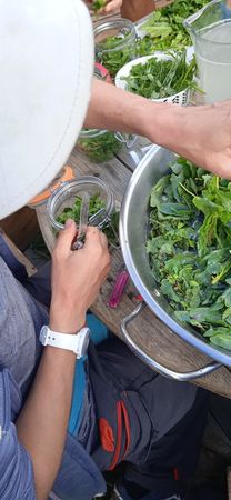 2021 (12) Compressed