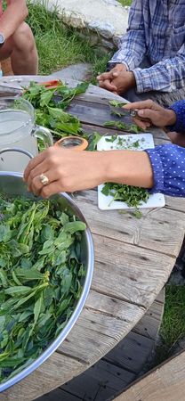 2021 (13) Compressed 2021 (13) Compressed