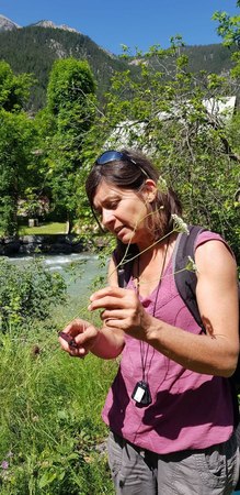 Reconnaissance Plantes (9) Reconnaissance Plantes (9)