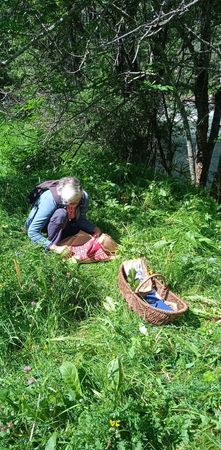 Phytothérapie Préparation (19) Phytothérapie Préparation (19)